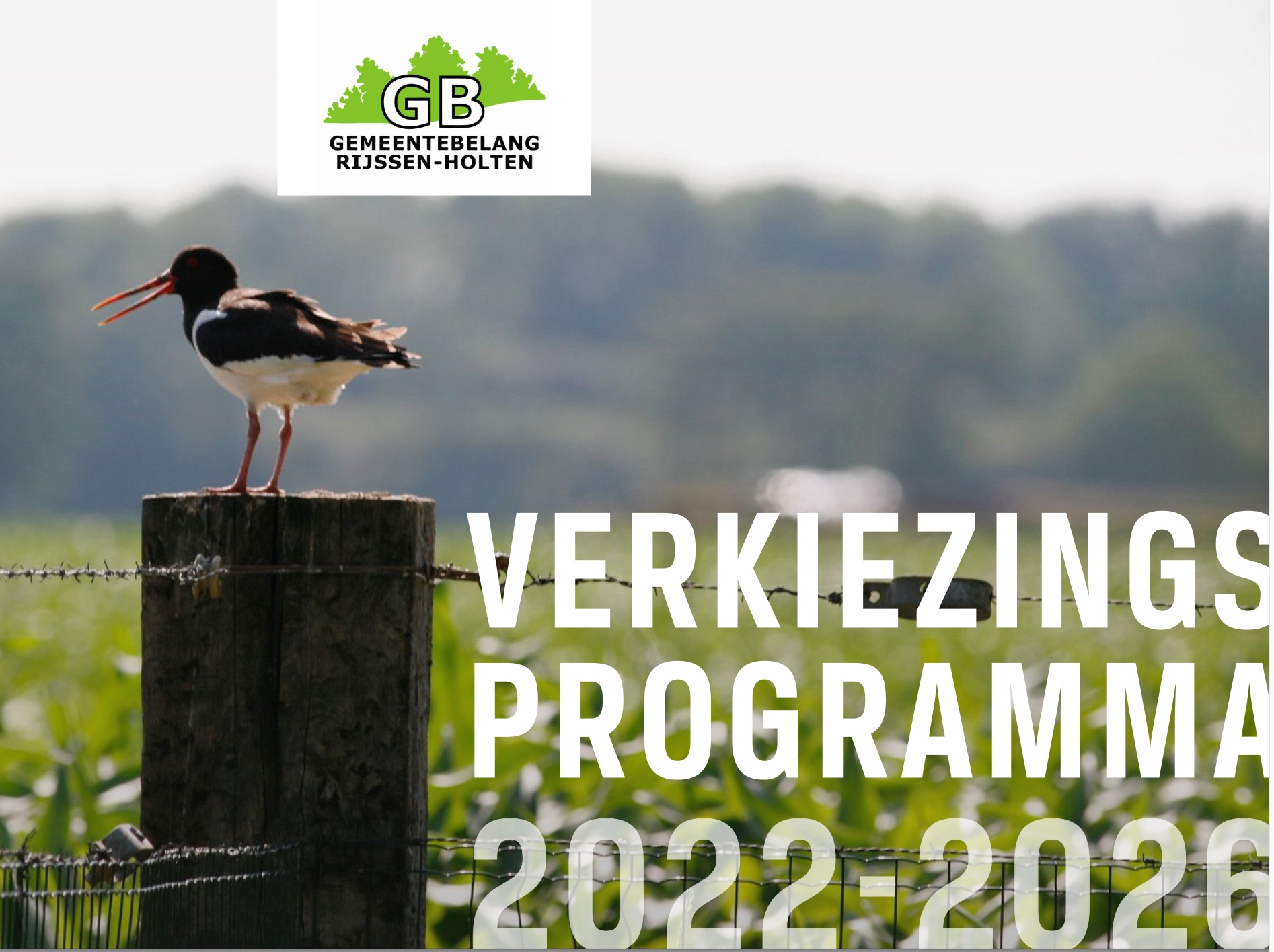 Programma gepubliceerd